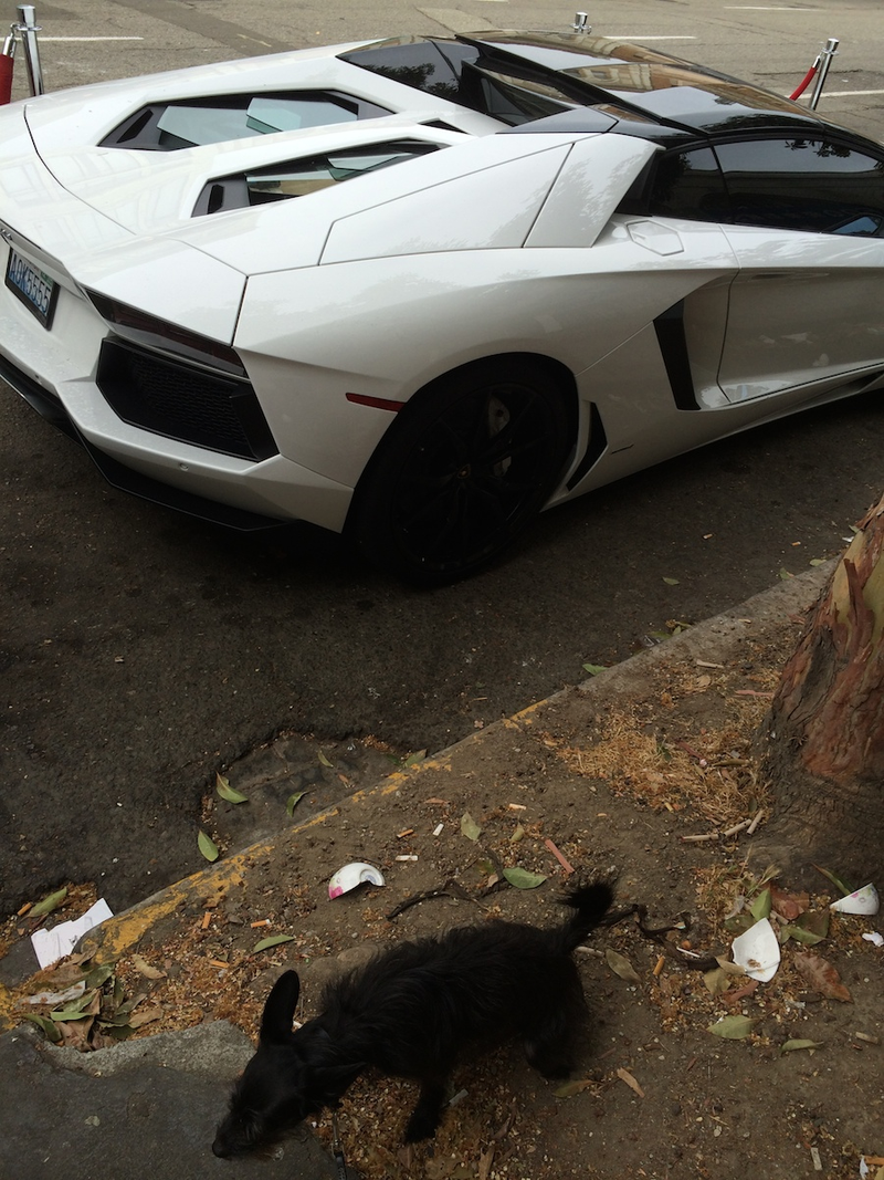 Illustration for article titled Marshawn Lynch Apparently Ropes Off His Lamborghini When He Parks